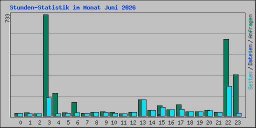 Stunden-Statistik im Monat Juni 2026