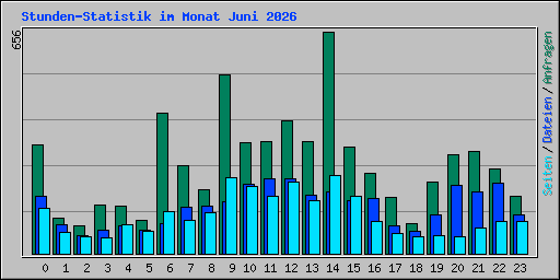 Stunden-Statistik im Monat Juni 2026