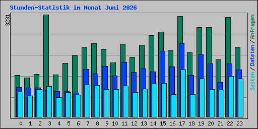 Stunden-Statistik im Monat Juni 2026