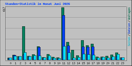 Stunden-Statistik im Monat Juni 2026